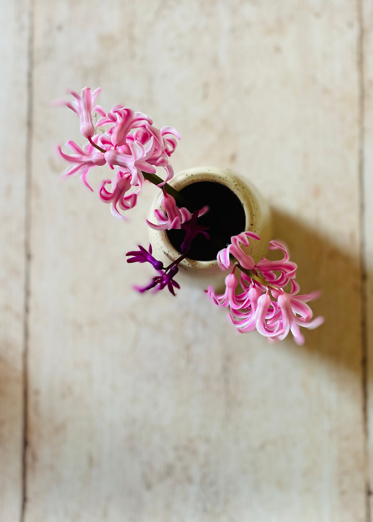 Vase de printemps