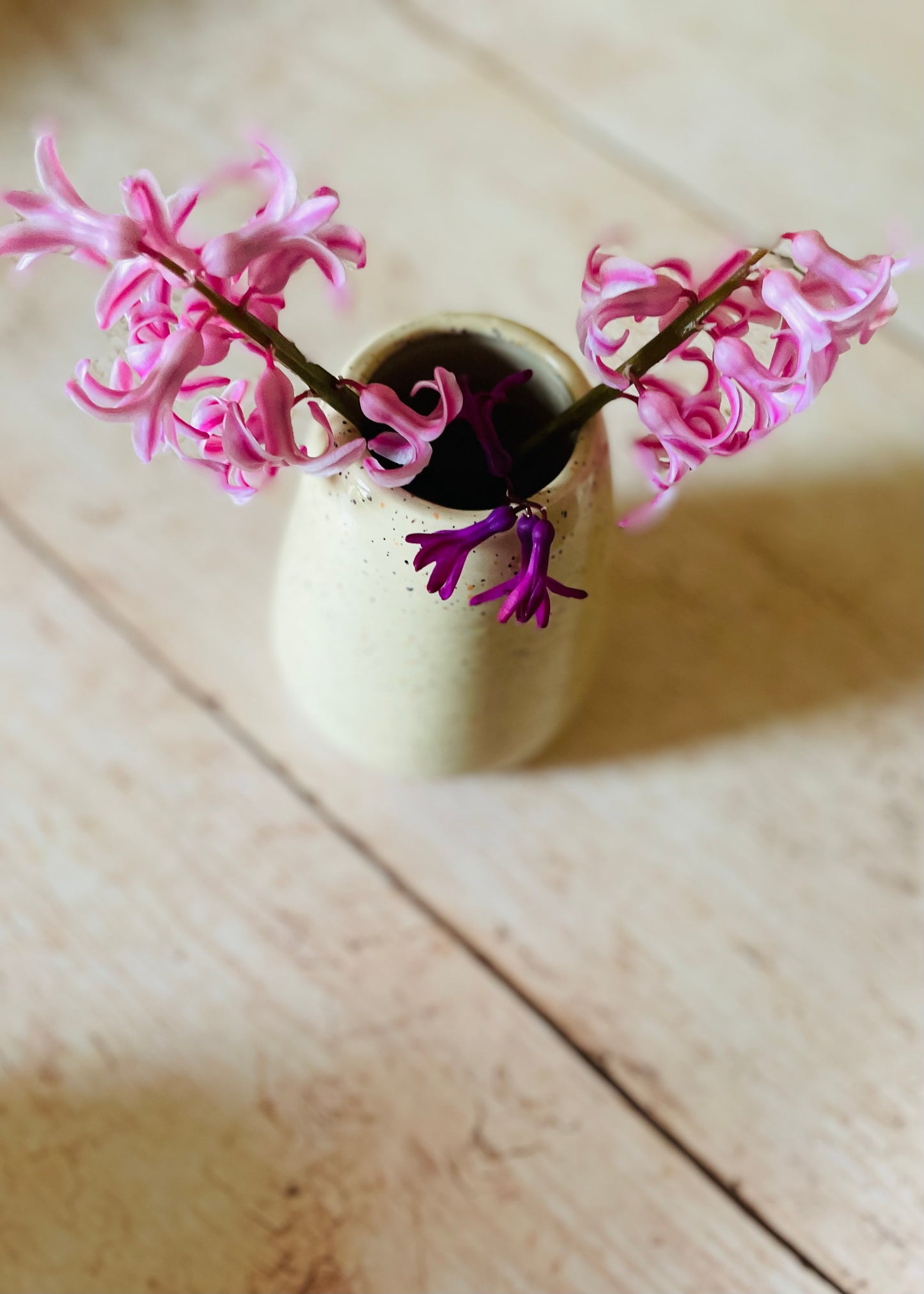 Vase de printemps